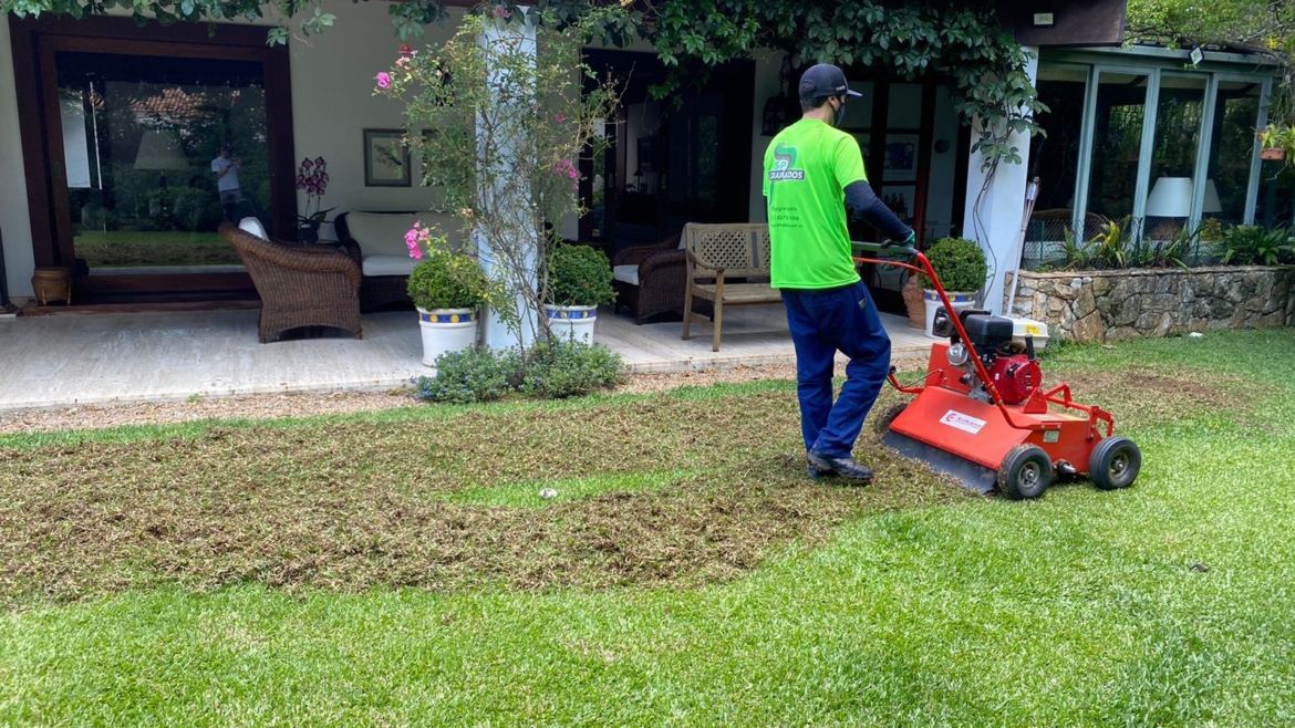 A Importância de Contratar um Jardineiro Profissional para Cuidar do seu Jardim