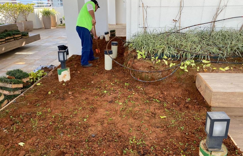 Melhoramento do Solo: A Chave para um Ambiente Saudável e Produtivo